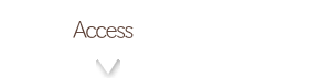 Access